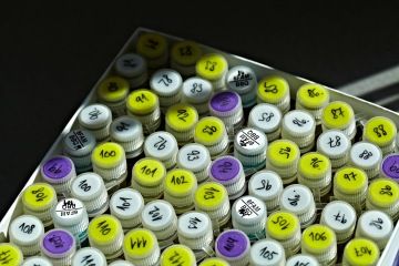 Employee loading up a cardboard box of biologic samples at SCTbio’s contract manufacturing facility.